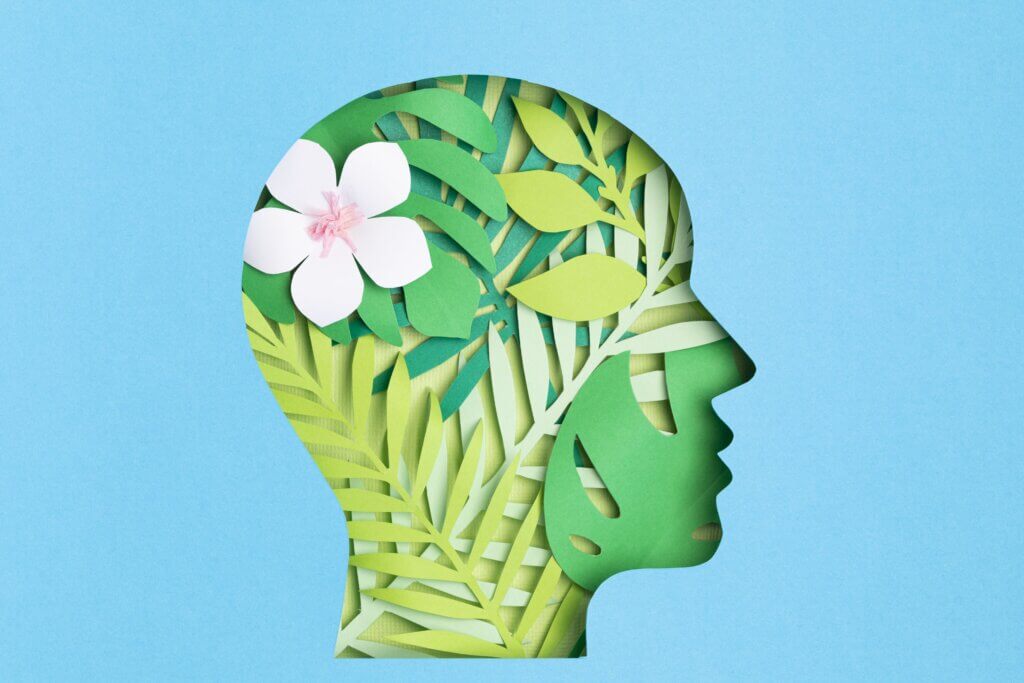 Capa do artigo 'Sustentabilidade emocional na gestão" com a silhueta de uma pessoa em um fundo azul claro. Dentro da silhueta há uma harmonia de folhas e flores, mostrando equilíbrio.
