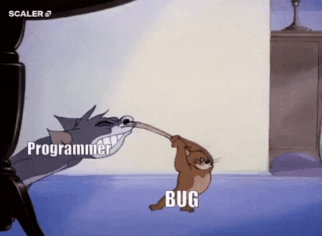 Gif do Ratinho Jerry com a escrita “Bug” batendo no gato Tom com a escrita “Programmer”.